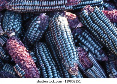 Blue Corn