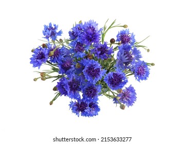 Blue Cornflower Herb Or Bachelor Button Flower Bouquet Top View, Isolated On White Background