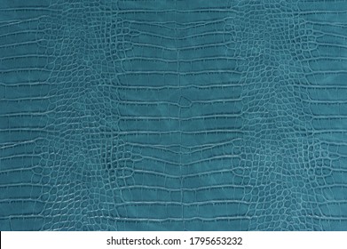 Blue crocodile leather skin background and texture