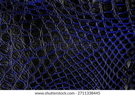 Blue crocodile leather texture as background. Natural reptile skin. Crocodile skin pattern.