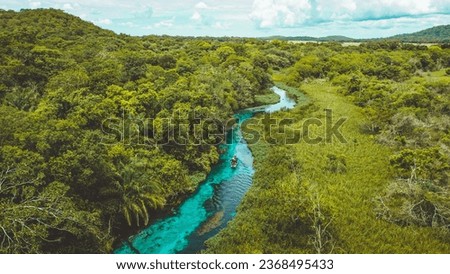 the blue crystalline Sucuri river in the touristic city of Bonito in Mato Grosso do Sul - Brazil