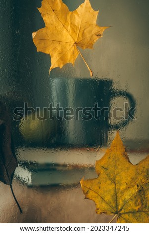 Blue cup behind a wet window with raindrops on the glass and yellow leaves stands on the books. Blurred background. Selective focus. Background of raindrops. Vertical