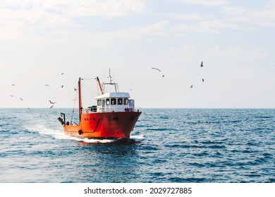 a blue cutter with a flock of seagulls on the North Sea in the sun with wind generators in the background. High quality photo