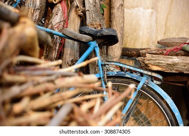 the blue cycle