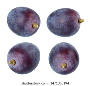 Blue dark grapes Isolated on a white background.