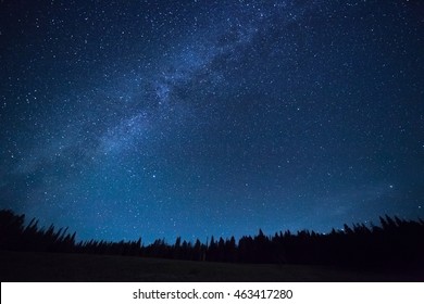 Blue Dark Night Sky With Many Stars Above Field Of Trees. Yellowstone Park. Milkyway Cosmos Background