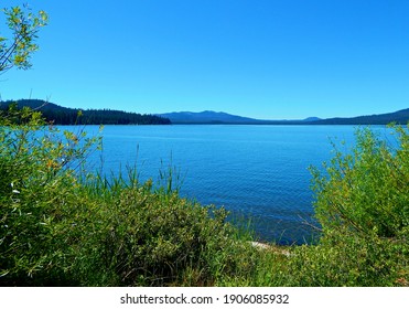 Blue Diamond - A Summertime View Across Diamond Lake - Cascade Range - OR