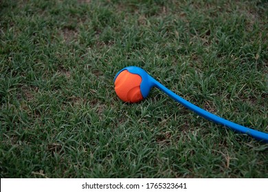 A Blue Dog Ball Thrower With A Orange Ball On Grass.