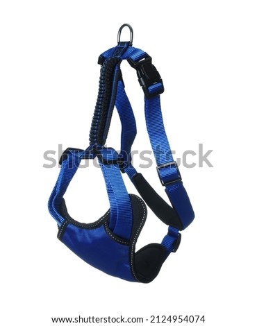Blue dog harness isolated on white. Pet accessory