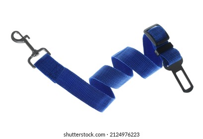 Blue Dog Leash Isolated On White. Pet Accessory