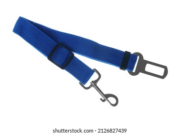 Blue Dog Leash Isolated On White. Pet Accessory