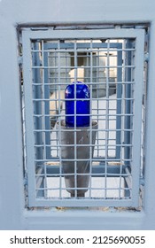 Blue Emergency Strobe Light Protected By A Metal Grille.