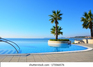 Blue Endless Swimming Pool With Palm Tree