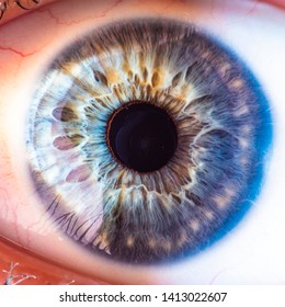blue eye with amazing details inside