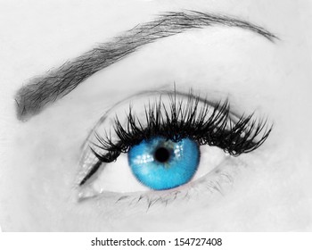 Blue Eye With Bushy Lashes And Brow Close Up Picture