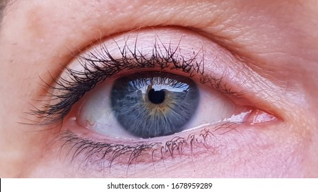 Blue Eye Closeup With Eyelashes