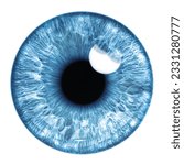 Blue eye iris - human eye