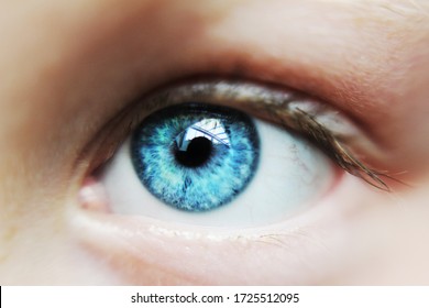 人間目 Images Stock Photos Vectors Shutterstock