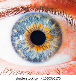 Blue Eye Macro