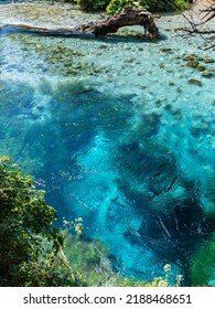 The Blue Eye Spring (Syri I Kalter), A More Than Fifty Metre Deep Natural Pool With Clear, Fresh Water, Near Sarande In Vlore Country In Southern Albania