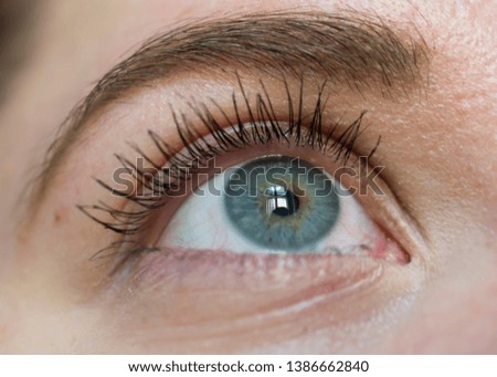 Similar – My look Eyelash Pupil