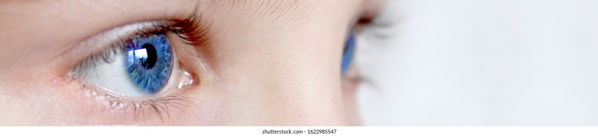 Blue Eyes Close Up. Fresh Outlook On Life. Naturalness. Children's Look. Concept For Cosmetics. Heavenly Eyes