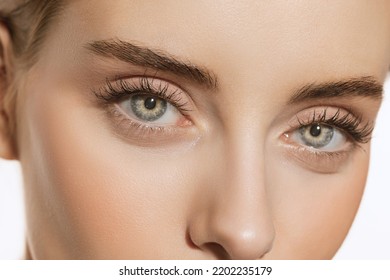 Blue eyes and perfect shapes of eyebrows. Close up faceof beautiful young girl looking at camera. Concept of cosmetics, makeup, natural and eco treatment, skin care. Eye lash correction and extension - Powered by Shutterstock