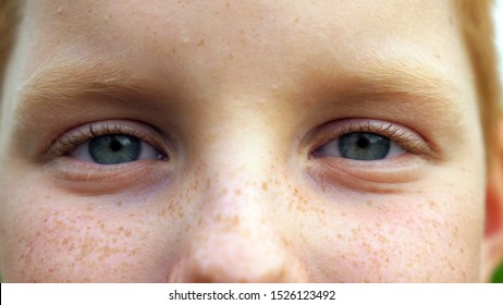 Blue eyes of small cheerful boy blinking and looking into camera with a happy sight. Portrait of cute face of young smiling child with freckles watching with positive emotion. Close up