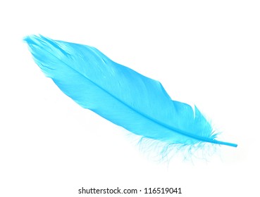 Blue Feather Isolated On White