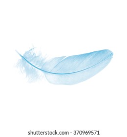 Blue Feather Isolated On A White Background