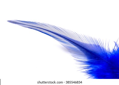 blue feather isolated on white background - Shutterstock ID 385546834