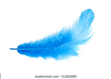 Blue Feather On A White Background. Isolated