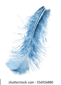 69,547 Single Blue Feather Images, Stock Photos & Vectors | Shutterstock