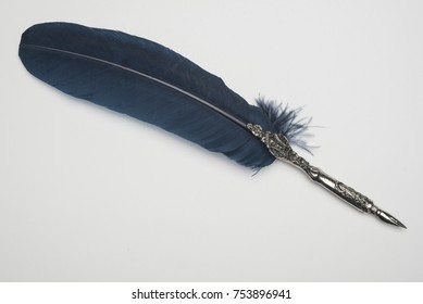 Blue Feather Pen Ink Stock Photo 752936953 | Shutterstock