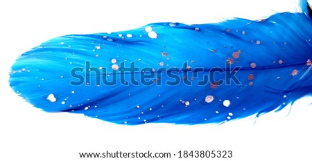Blue feather with silver dots pattern