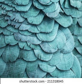 Blue Feathers Background