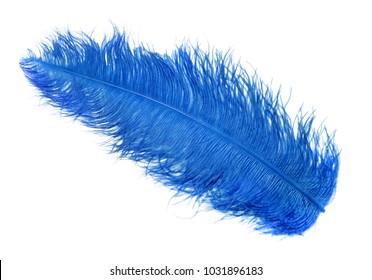 Blue Feathers. Carnival.