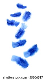 Blue Feathers Falling On White Background