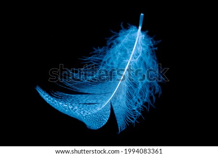 Similar – Image, Stock Photo as light as a feather