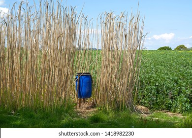 A Blue Feeder To Attract And Feed Pheasants For The Coming Hunting Season, Set In The Middle Of A Lush Somerset Field (UK)