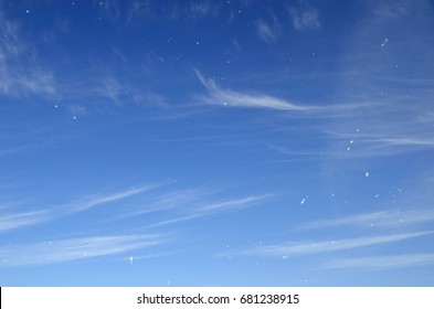 46+ Blue field entoptic phenomenon white background