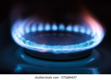 Blue Fire In Gas Burner 