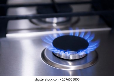 Blue Fire In Gas Burner. Gas Burning From A Kitchen Gas Stove