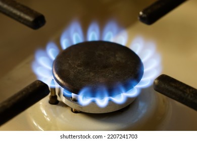 Blue Fire Kitchen Stove, Gas Cooker Burning Flames Of Propane Gas. Close Up, Shallow Depth Of Field