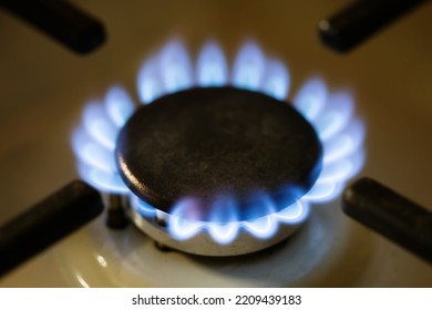 Blue Fire Kitchen Stove, Gas Cooker Burning Flames Of Propane Gas. Close Up, Shallow Depth Of Field