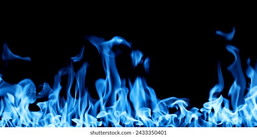 Blue firestorm. Gas Fire burning. Bright burning blue flames on a black background. Wall of Real fire, abstract background. Fire flames, isolated on dark background - Powered by Shutterstock