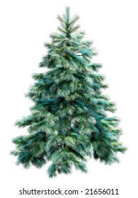 Blue firtree with clipping path. Excellent material for christmas fir tree designs. Digitally generated without noise and artifacts.