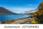 blue fjord between steep mountains in the Lyngenalps of Troms in Norway. deep glacial valleys with autumn colored trees and rocky peaks in autumn. wonderful, quiet nature where you can relax