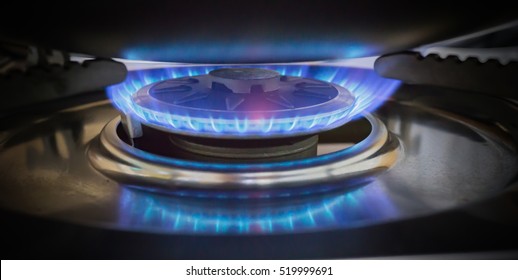 Blue Flame Of Natural Gas On A Cooker, Stove