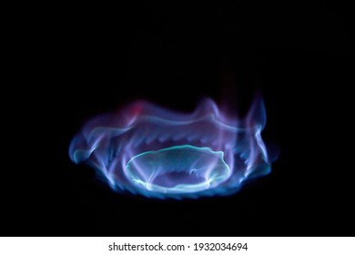 The Blue Flame On The Gas Stove